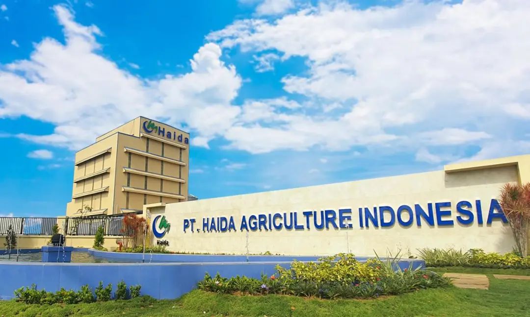 1688115389216989.jpg 7.jpg